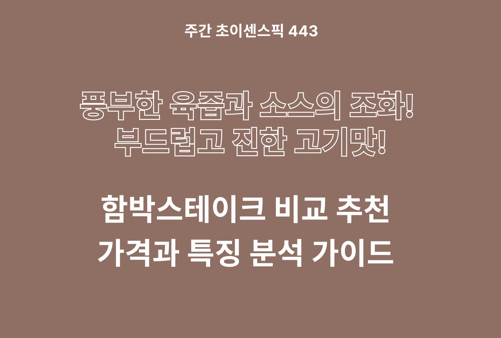 함박 스테이크 추천 비교 TOP 5종(오뚜기,애슐리,샴양,하인즈,선진)
