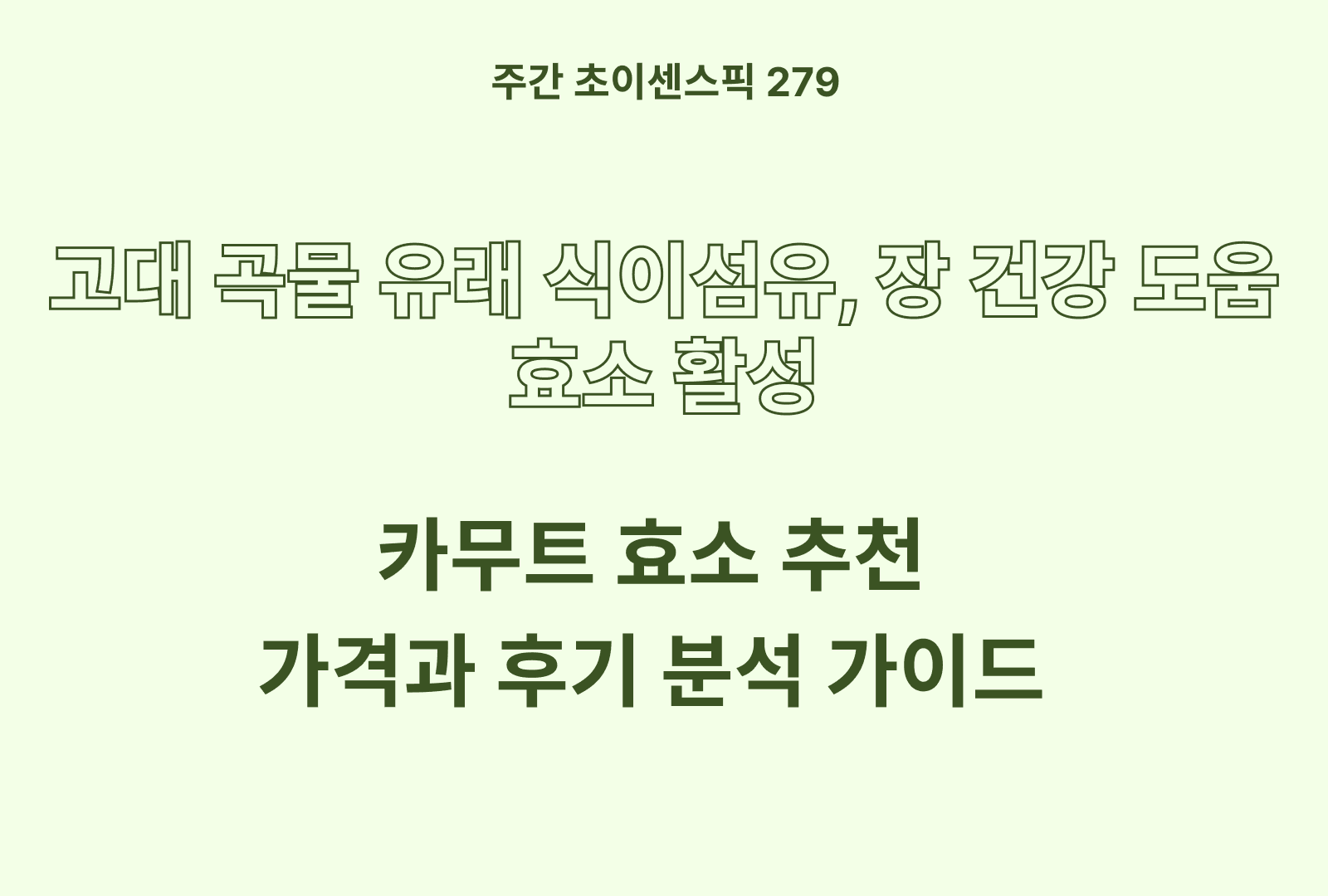 카무트 효소 추천 BEST 4 (그레인온, 건강머금 등)