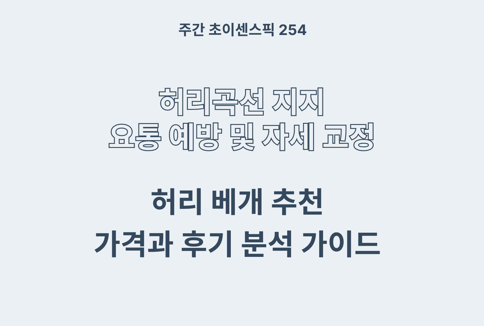허리베개 추천 TOP 3 (솔직 후기와 제품 비교)