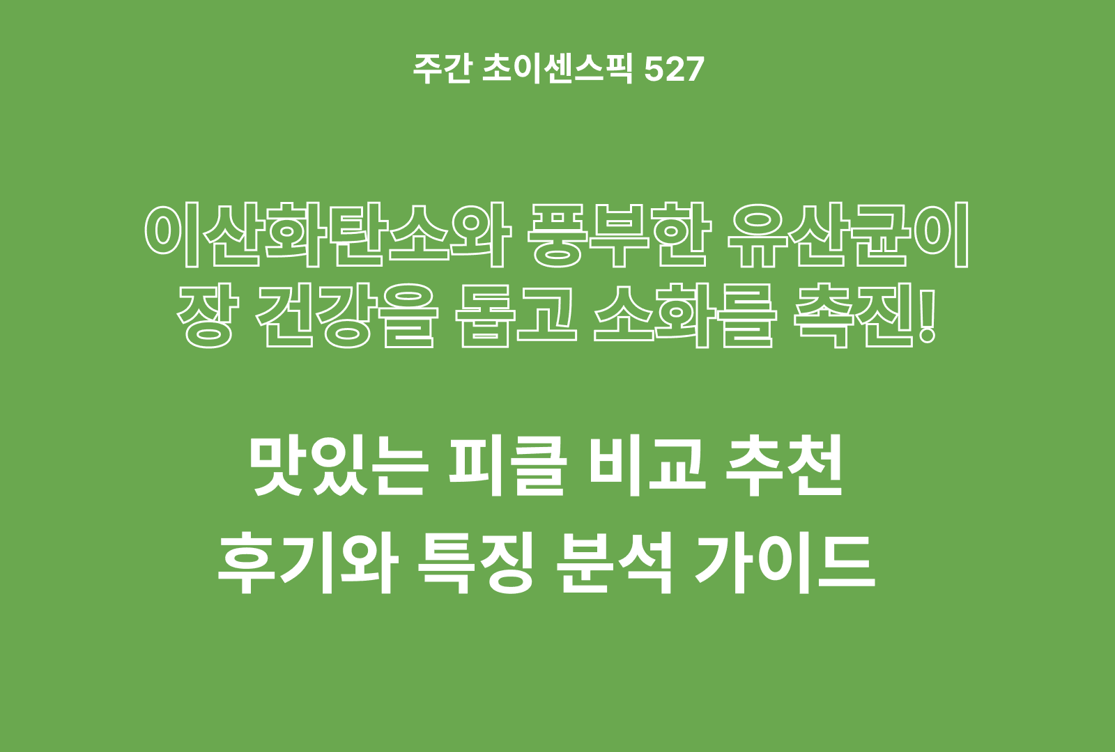 피클 추천 및 비교 4종 (성분 투명성, 첨가물, 자극 정도, 실속 가성비 등)