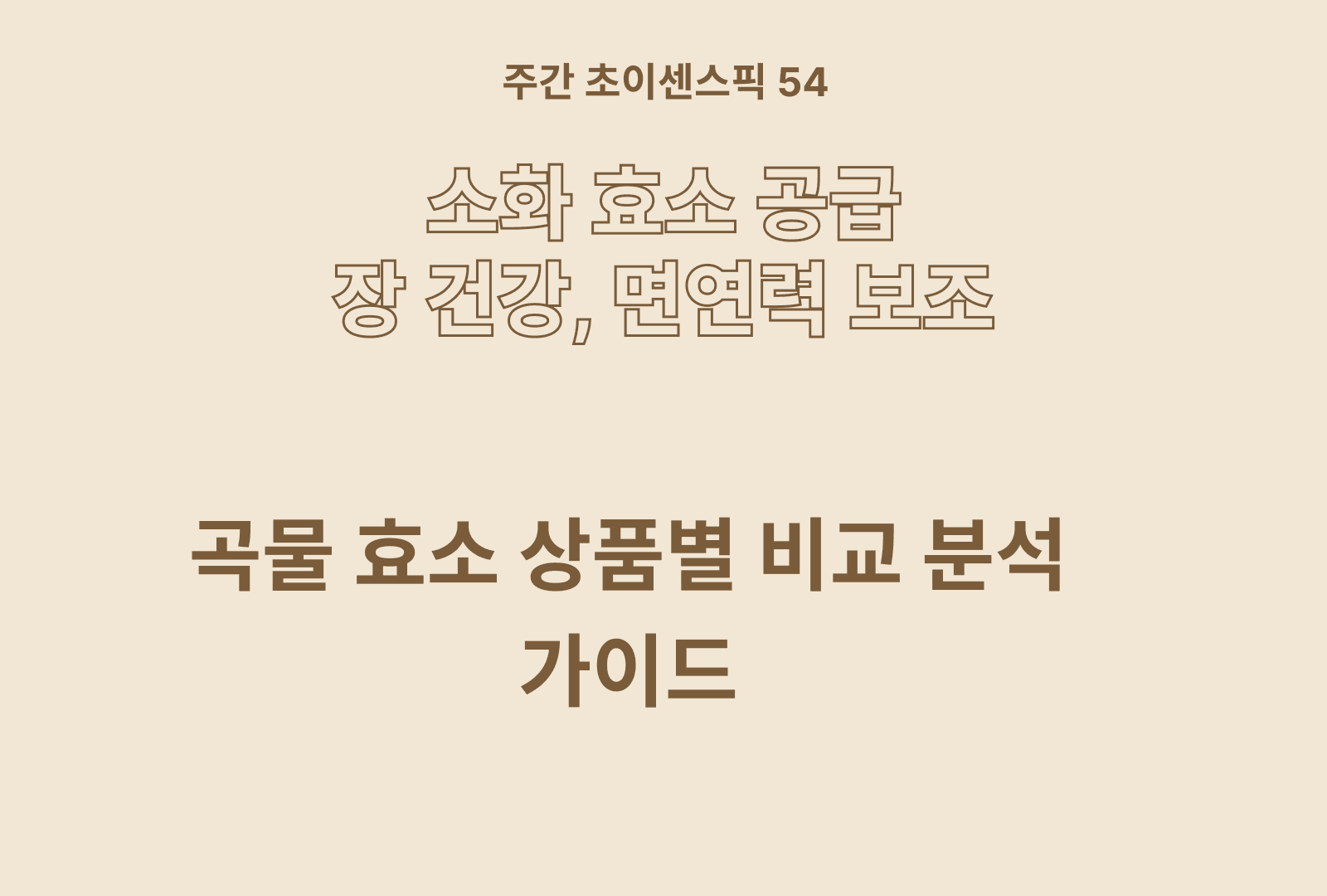 곡물 효소 비교 & 추천 가이드