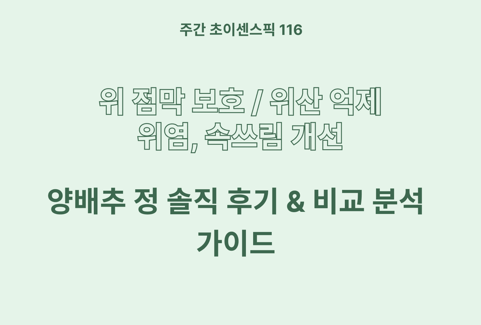 양배추 환 추천 및 상품 솔직후기 분석까지